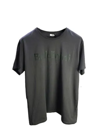 Серая футболка Baldinini артикул M19-N9299